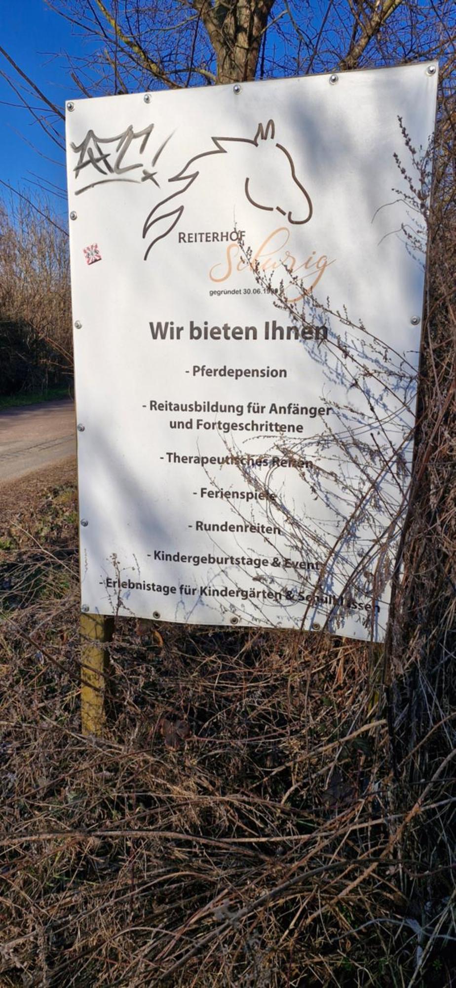 Ferienwohnung Halle/Lettin Halle  外观 照片